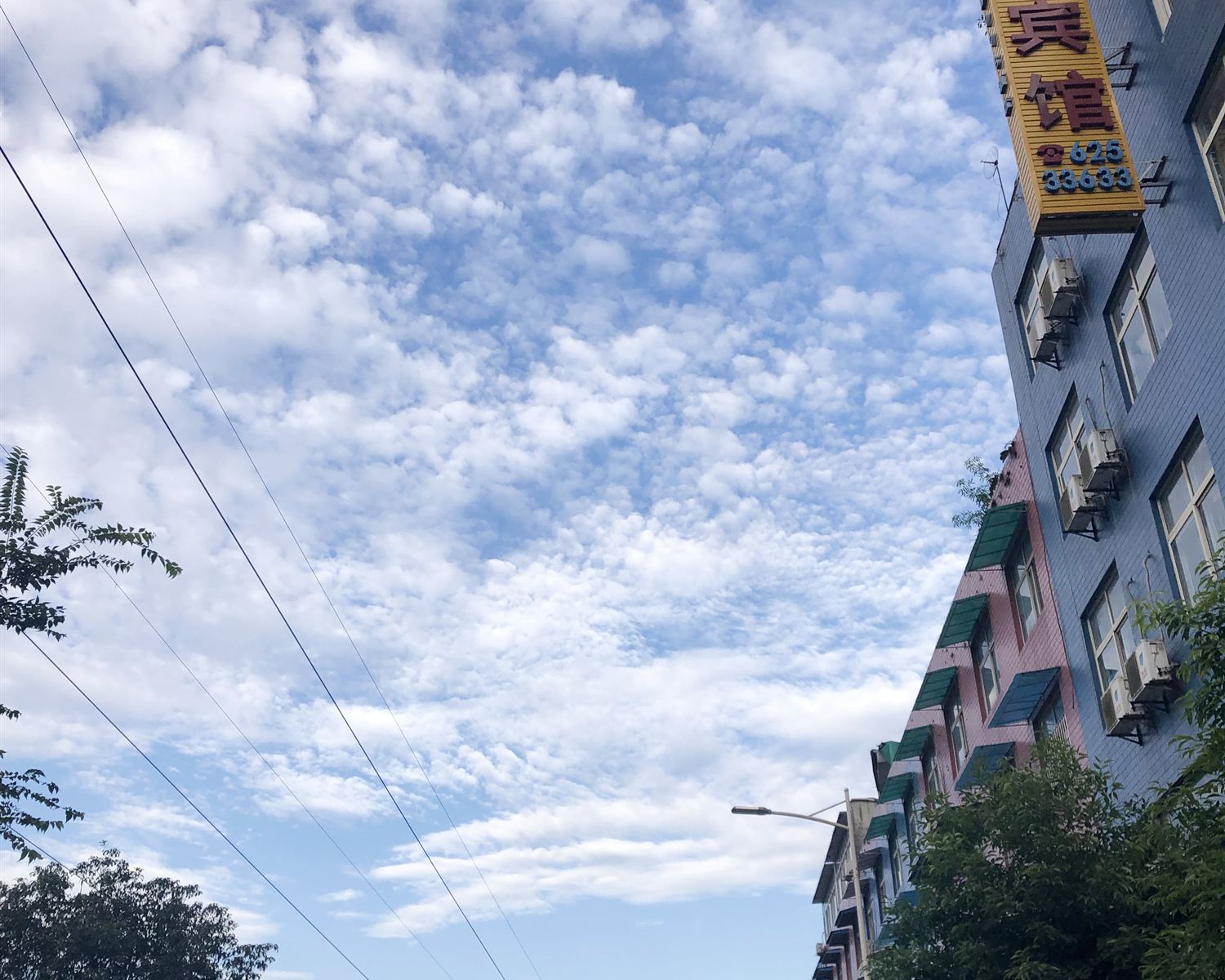 其他