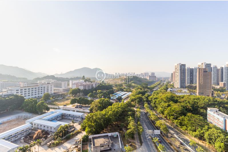 深圳大森民宿