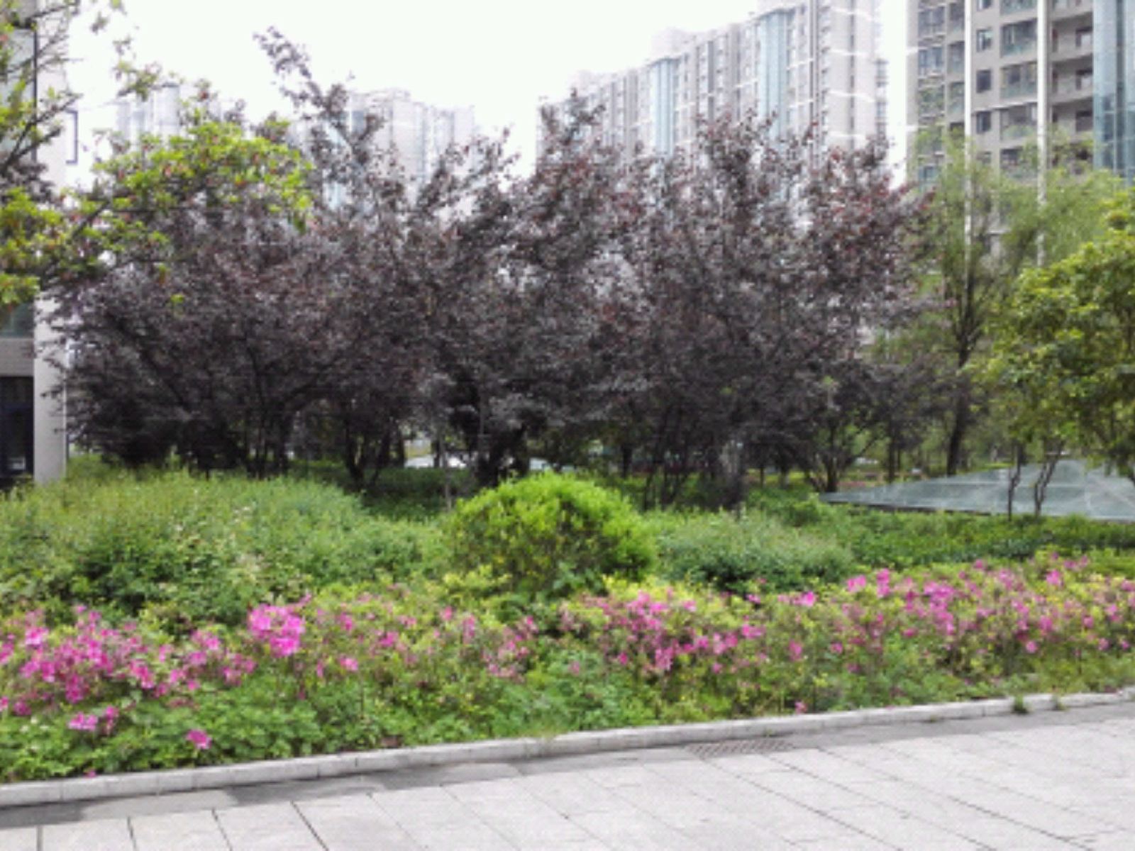 贵阳樱子公寓