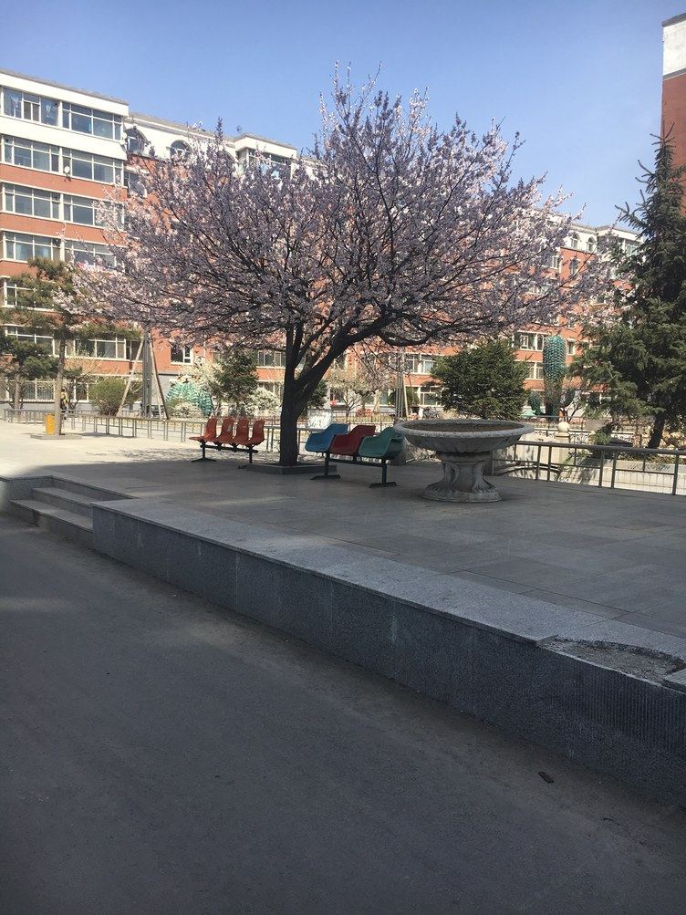 长春天天公寓