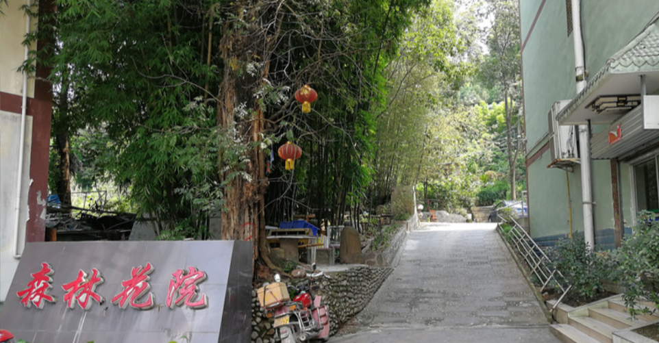 广元森林花院大酒店