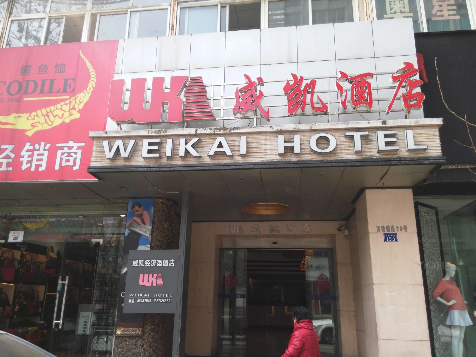 外观