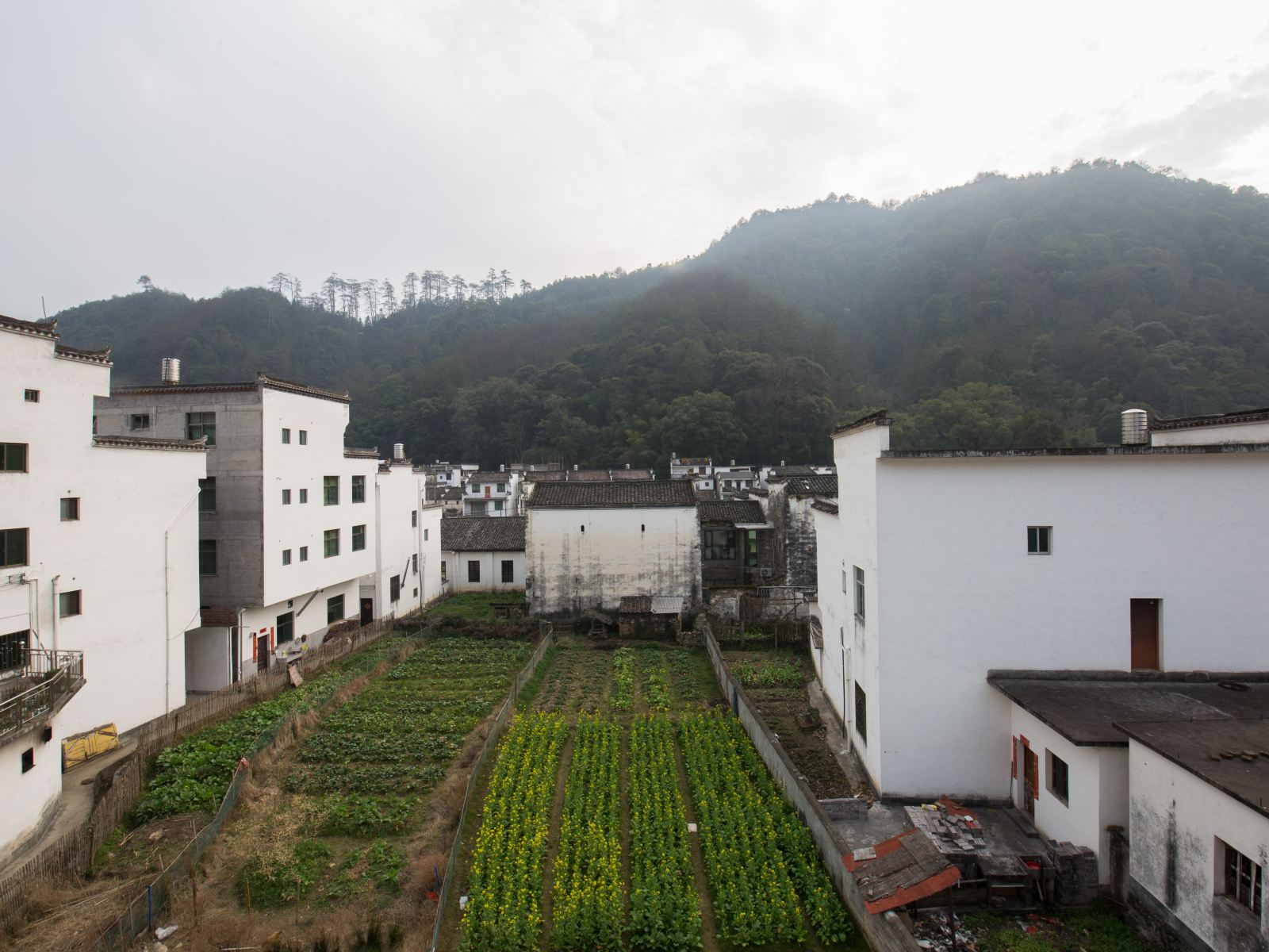 婺源晓起田园农家乐