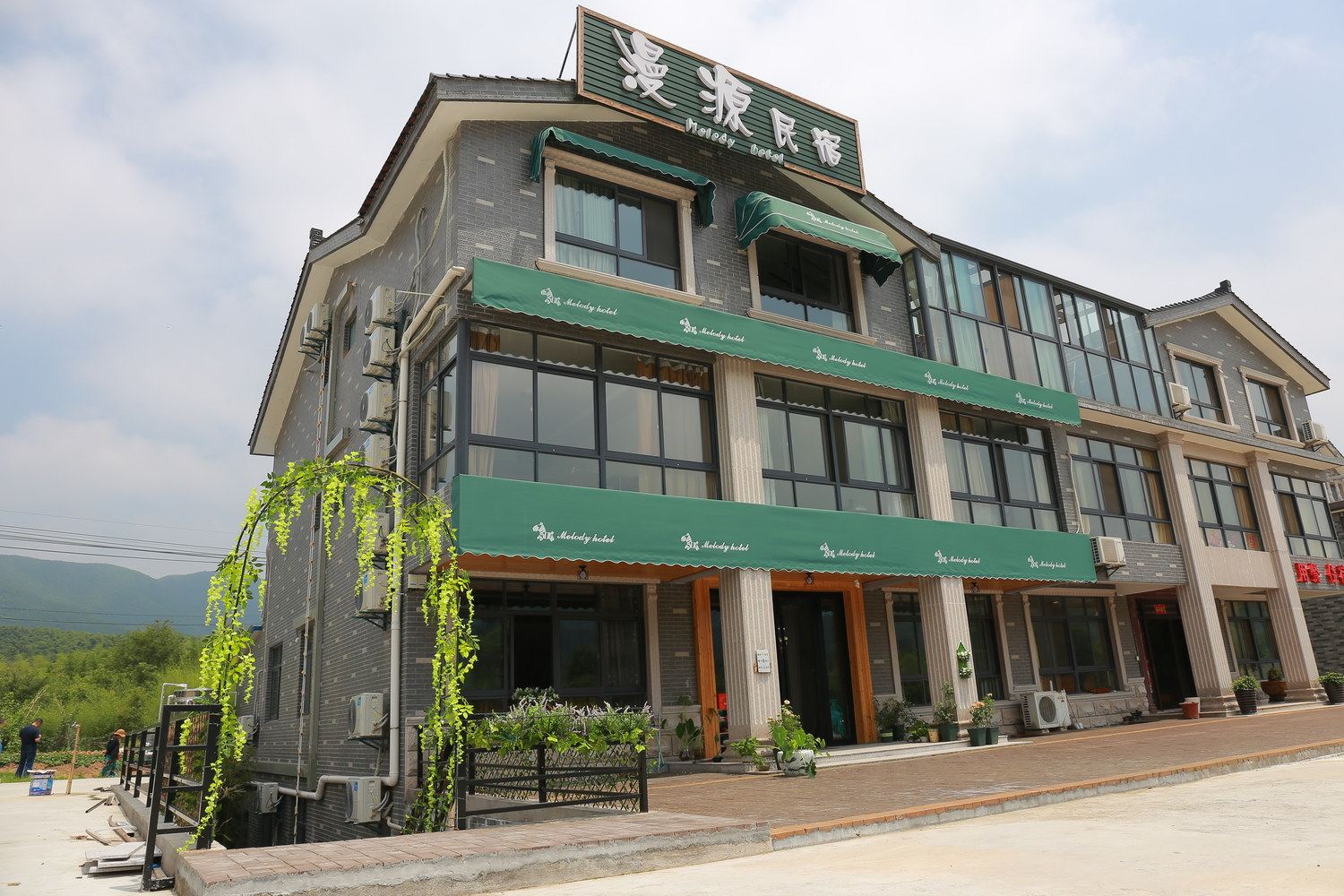 外观