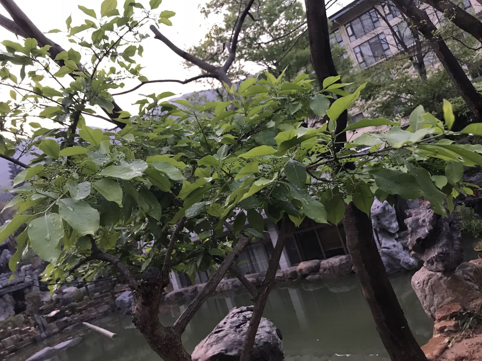 其他