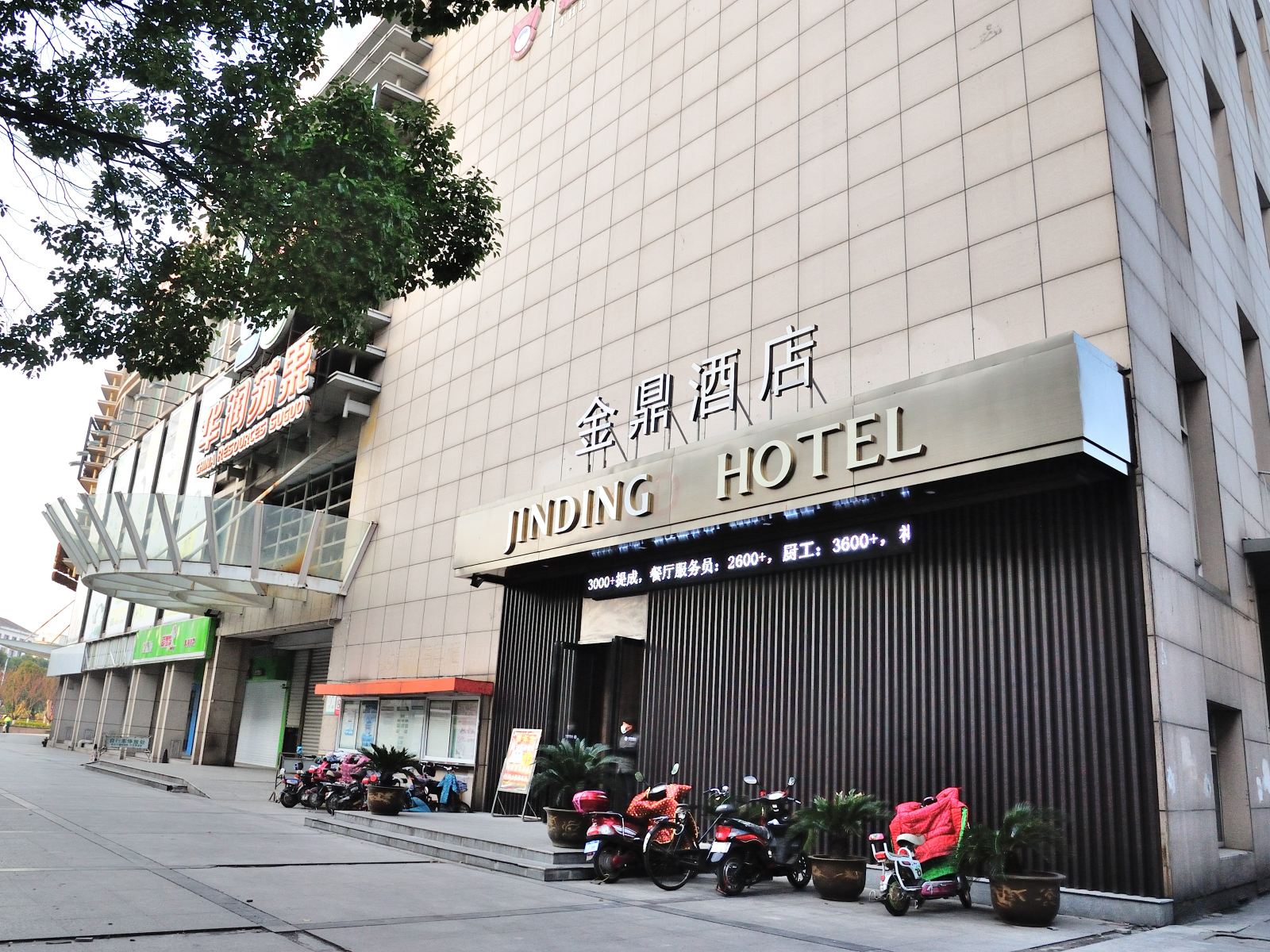 外观