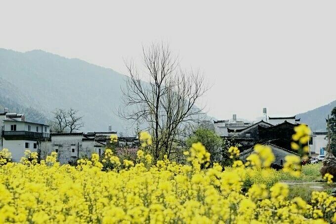 南山竹海壹心璞居民宿