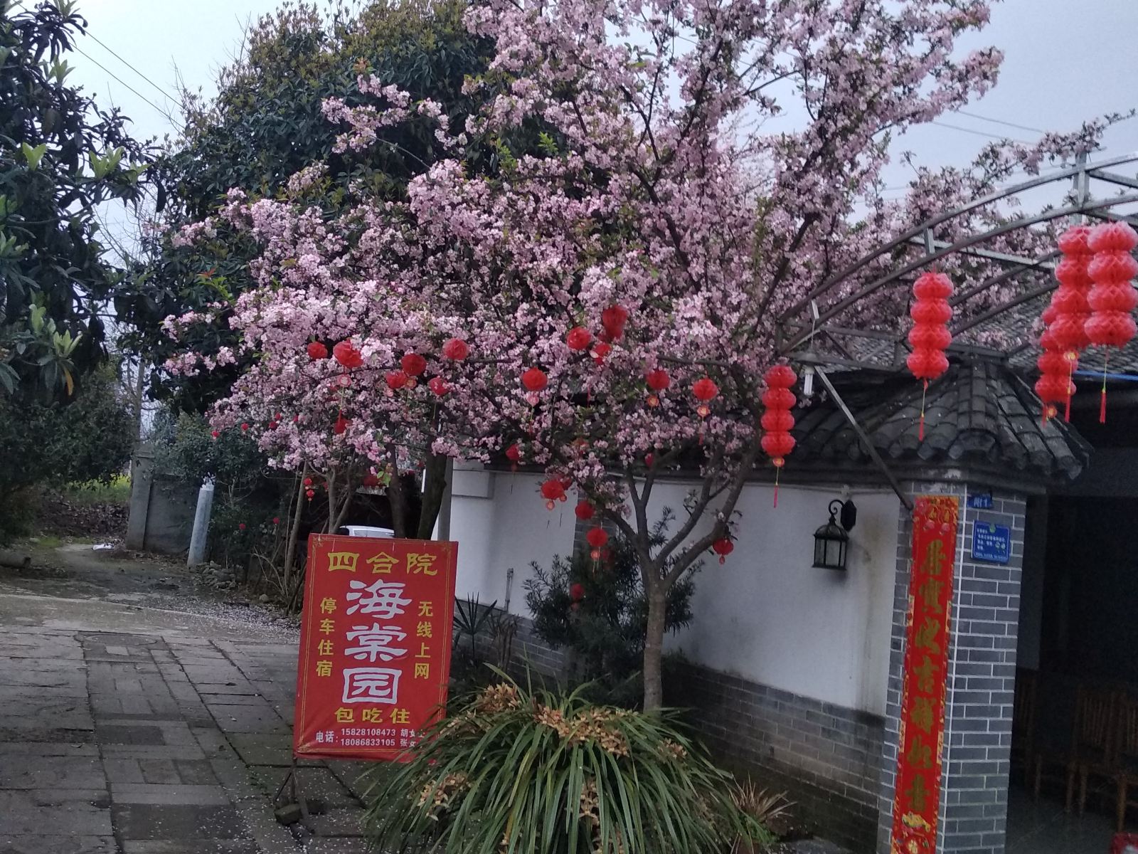 外观