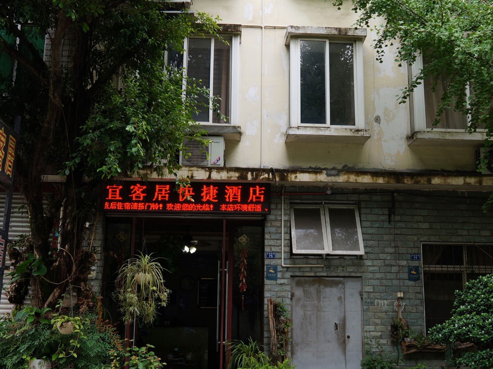 外观