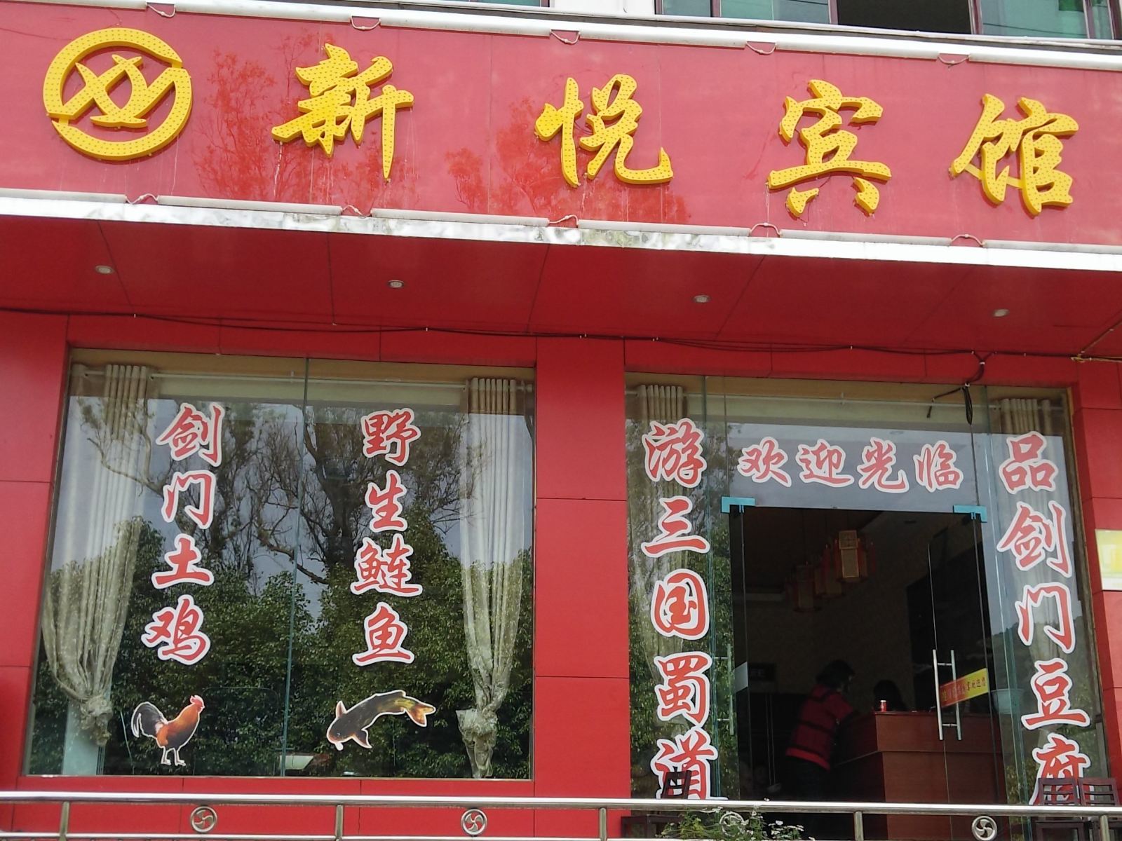 外观