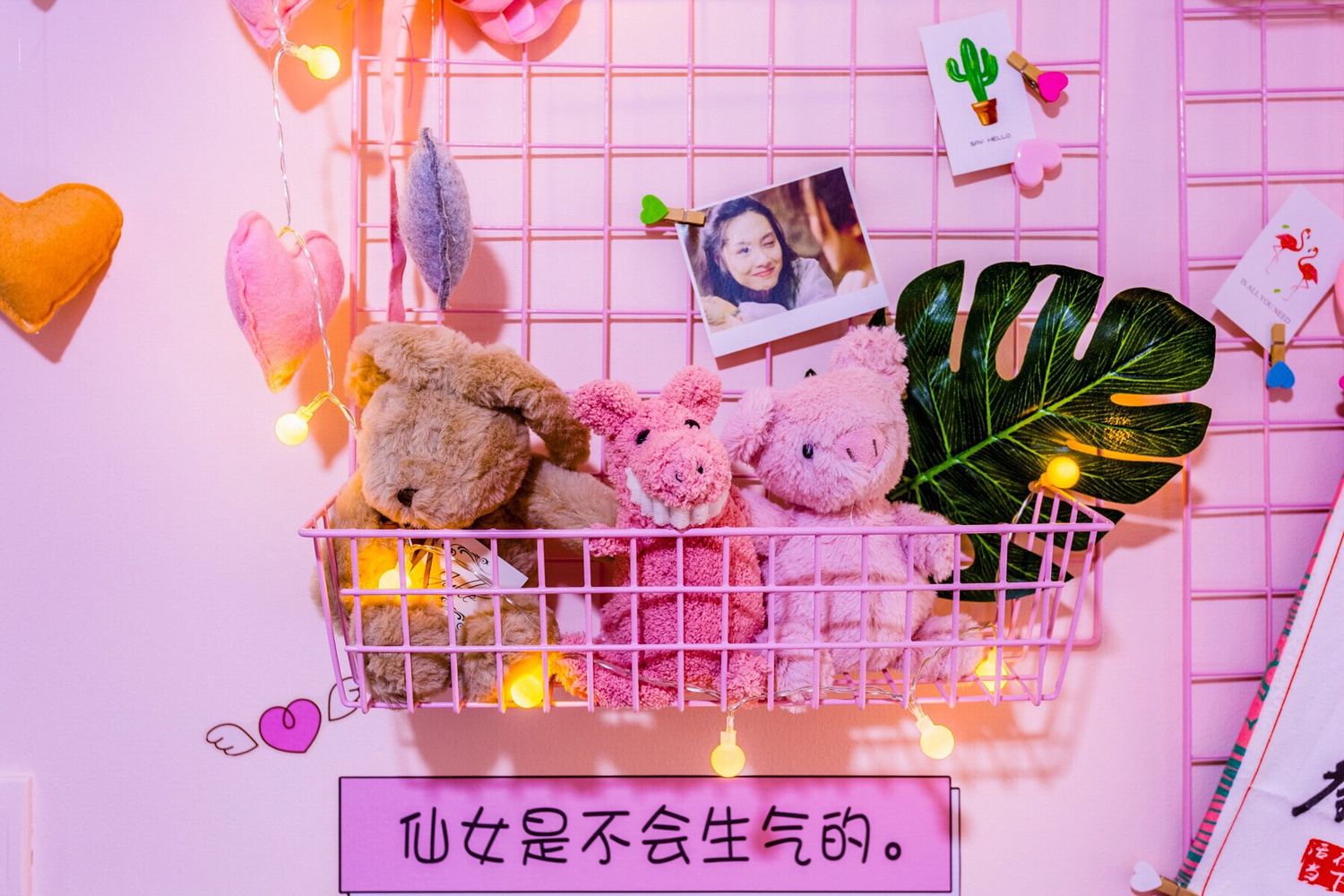 其他