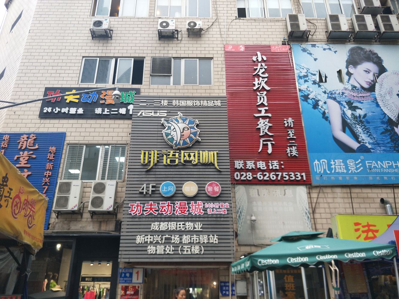 外观