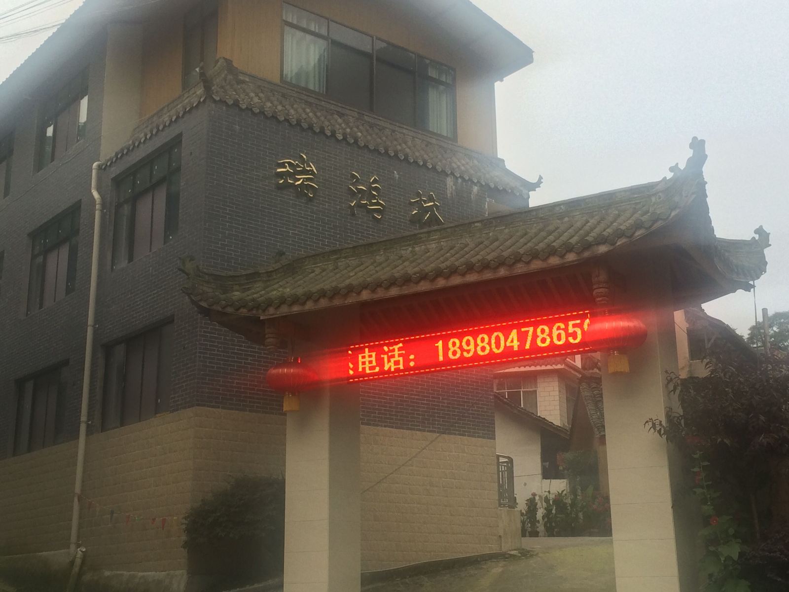 外观