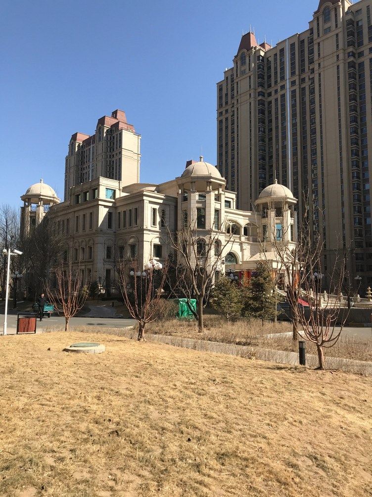 其他