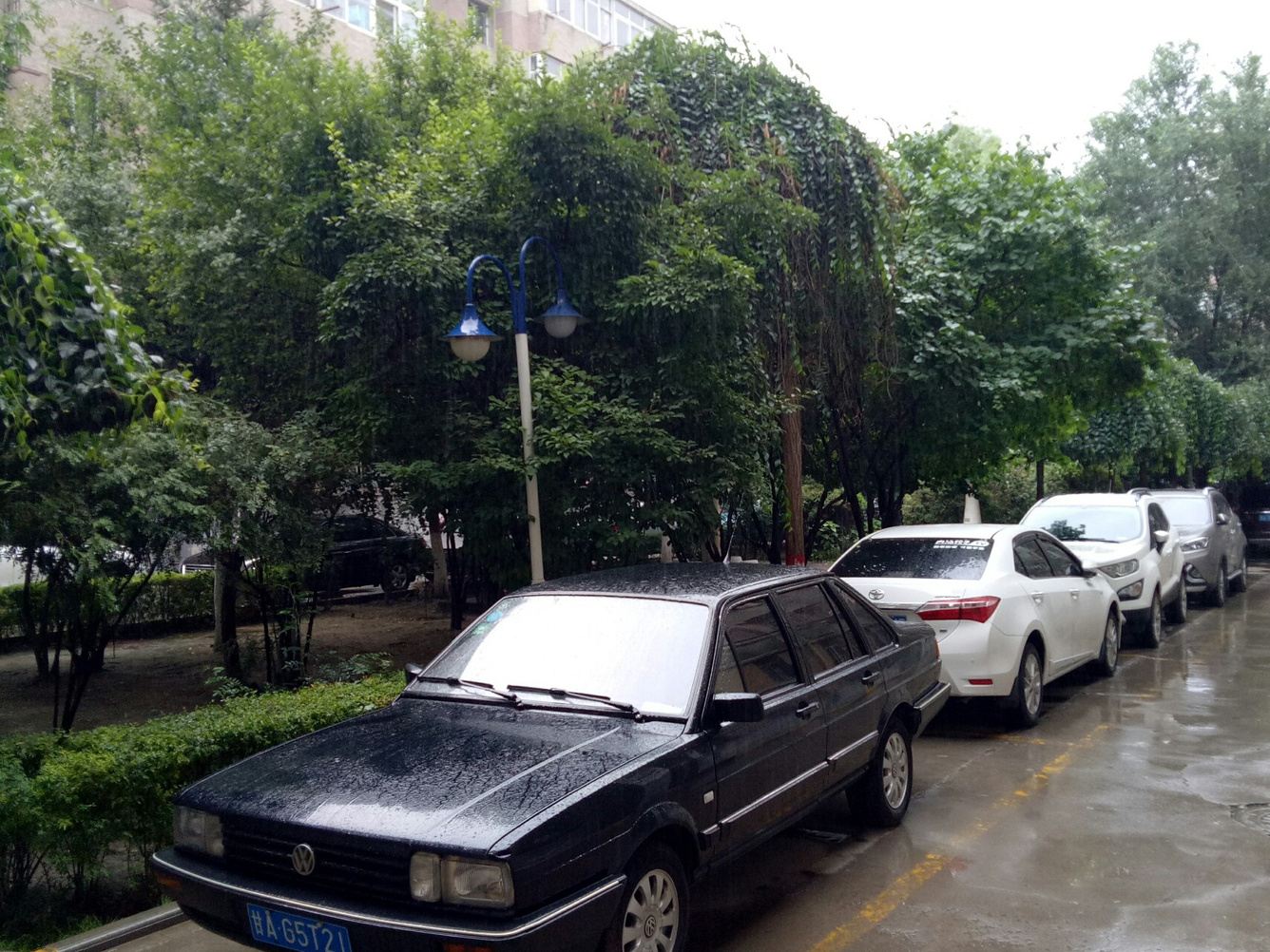 其他