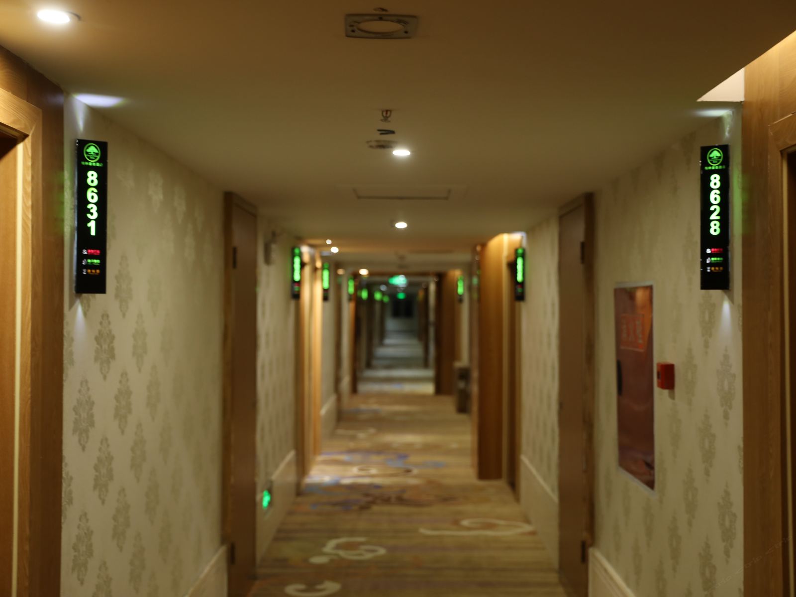 公共区域