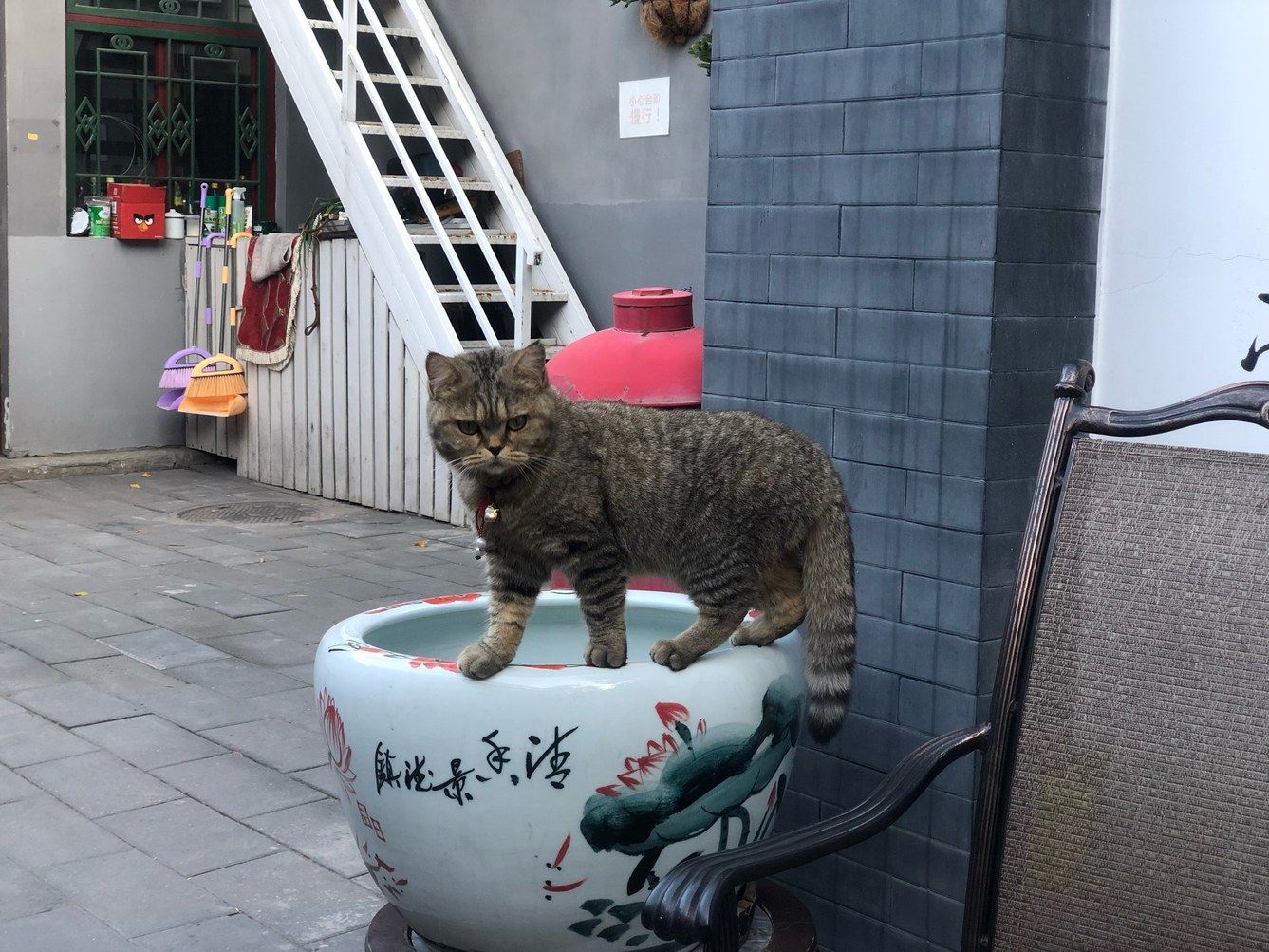其他