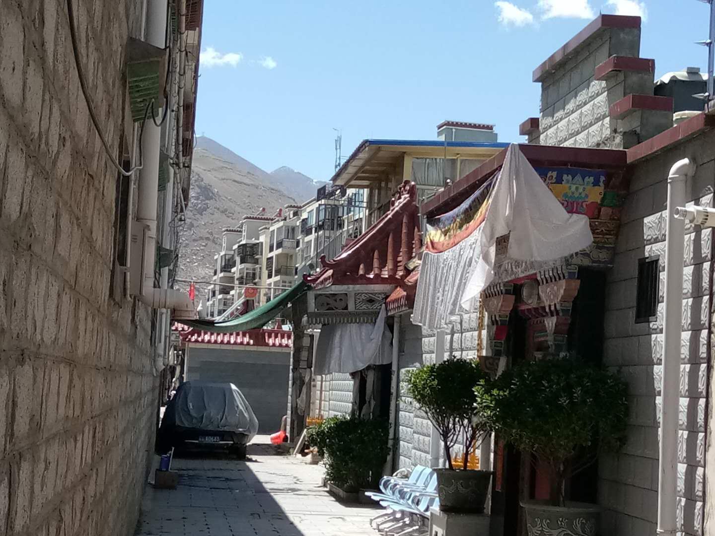 拉萨天风筝的客栈