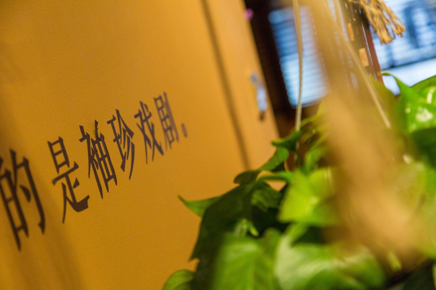 其他