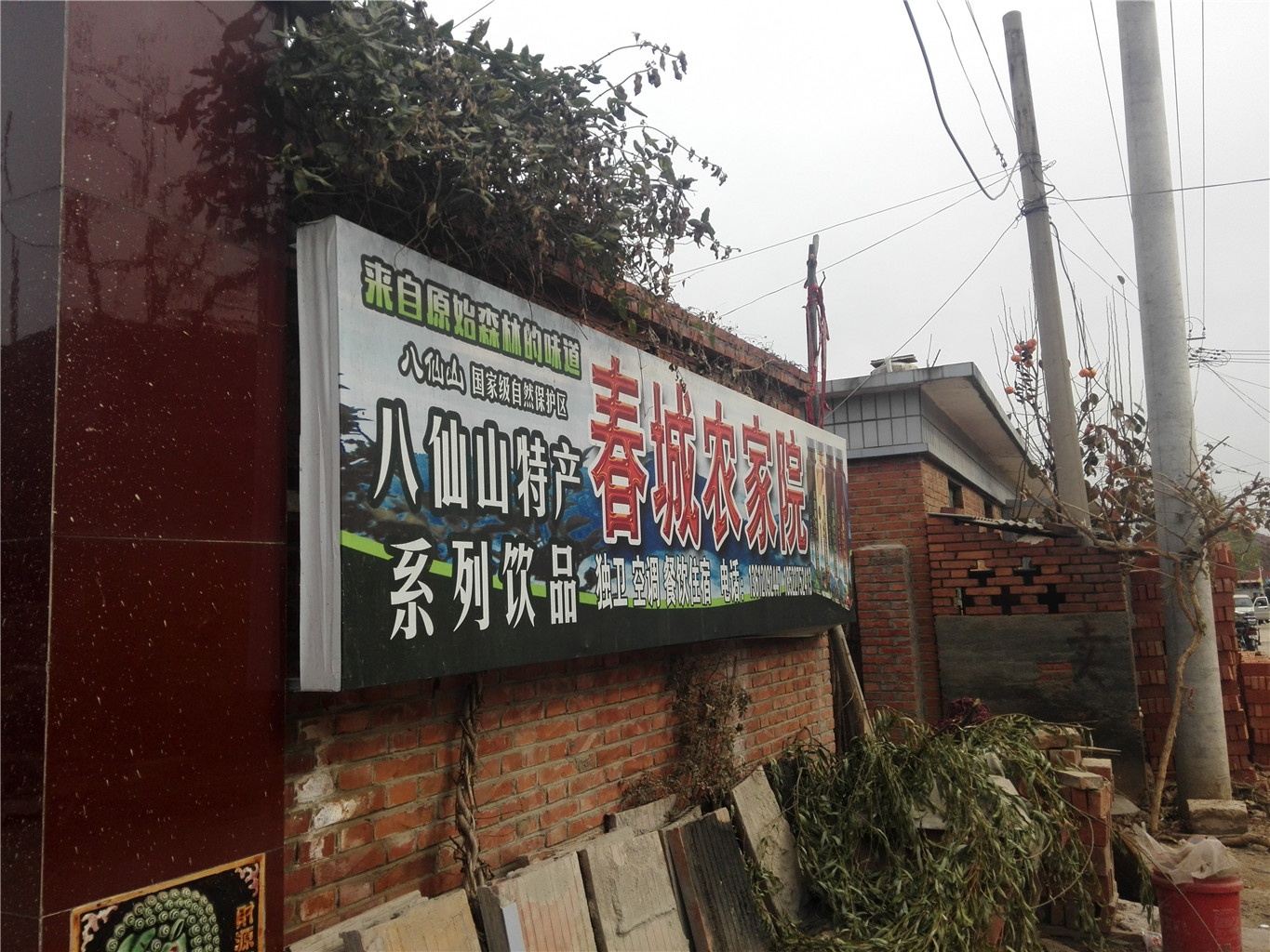 外观