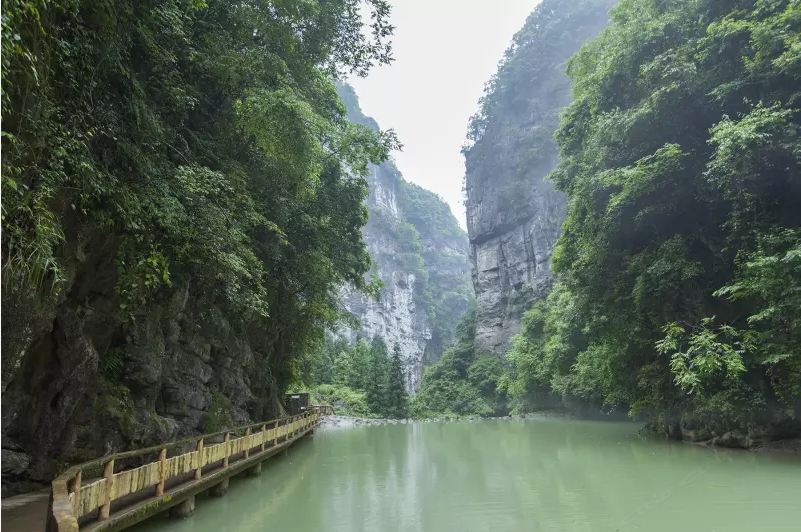重庆牛奶咖啡民宿