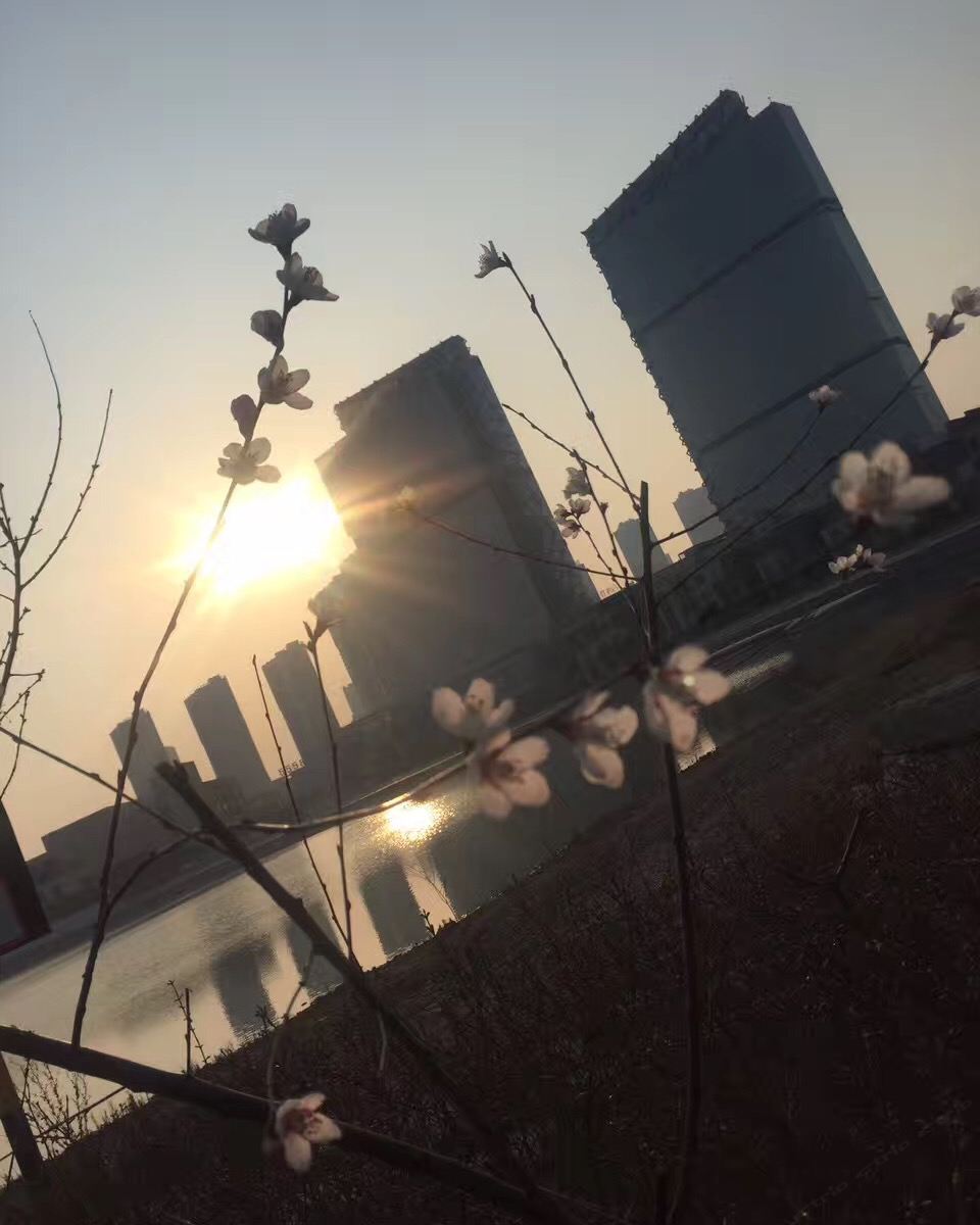 青岛木子酒店公寓