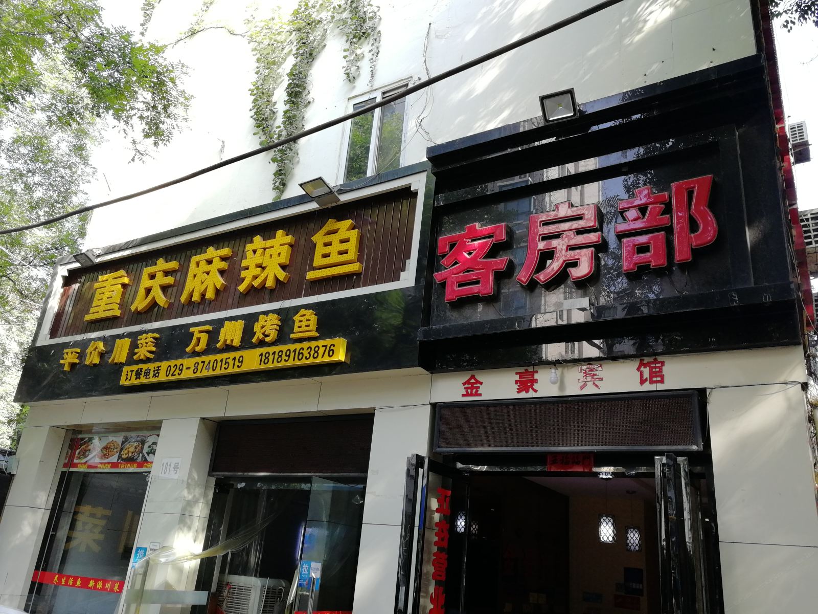 外观