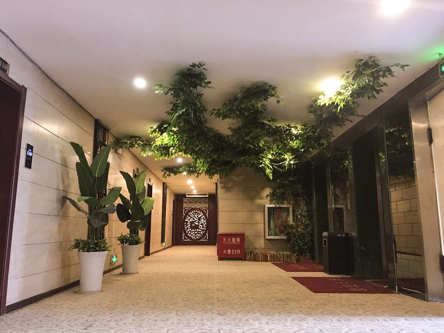 公共区域