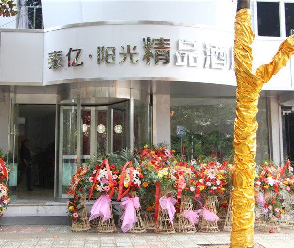 南京泰亿·阳光精品酒店