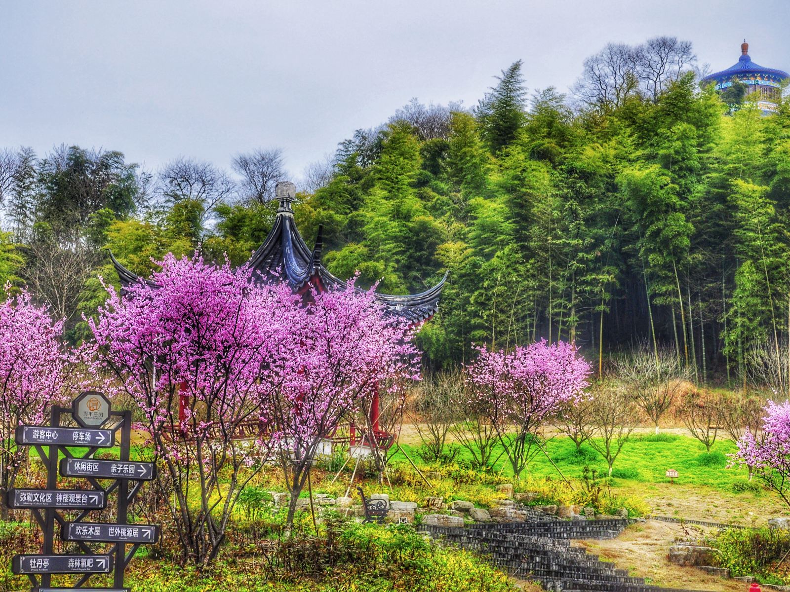 其他
