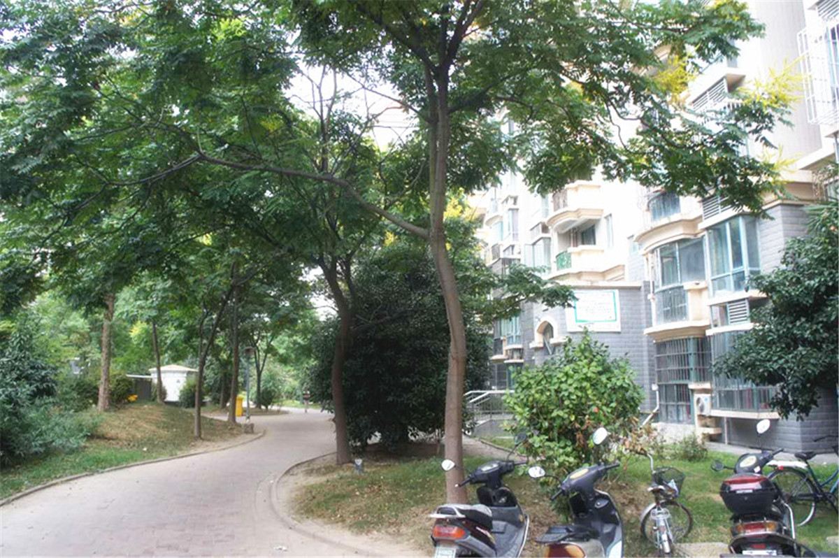 南京萍姐的小屋