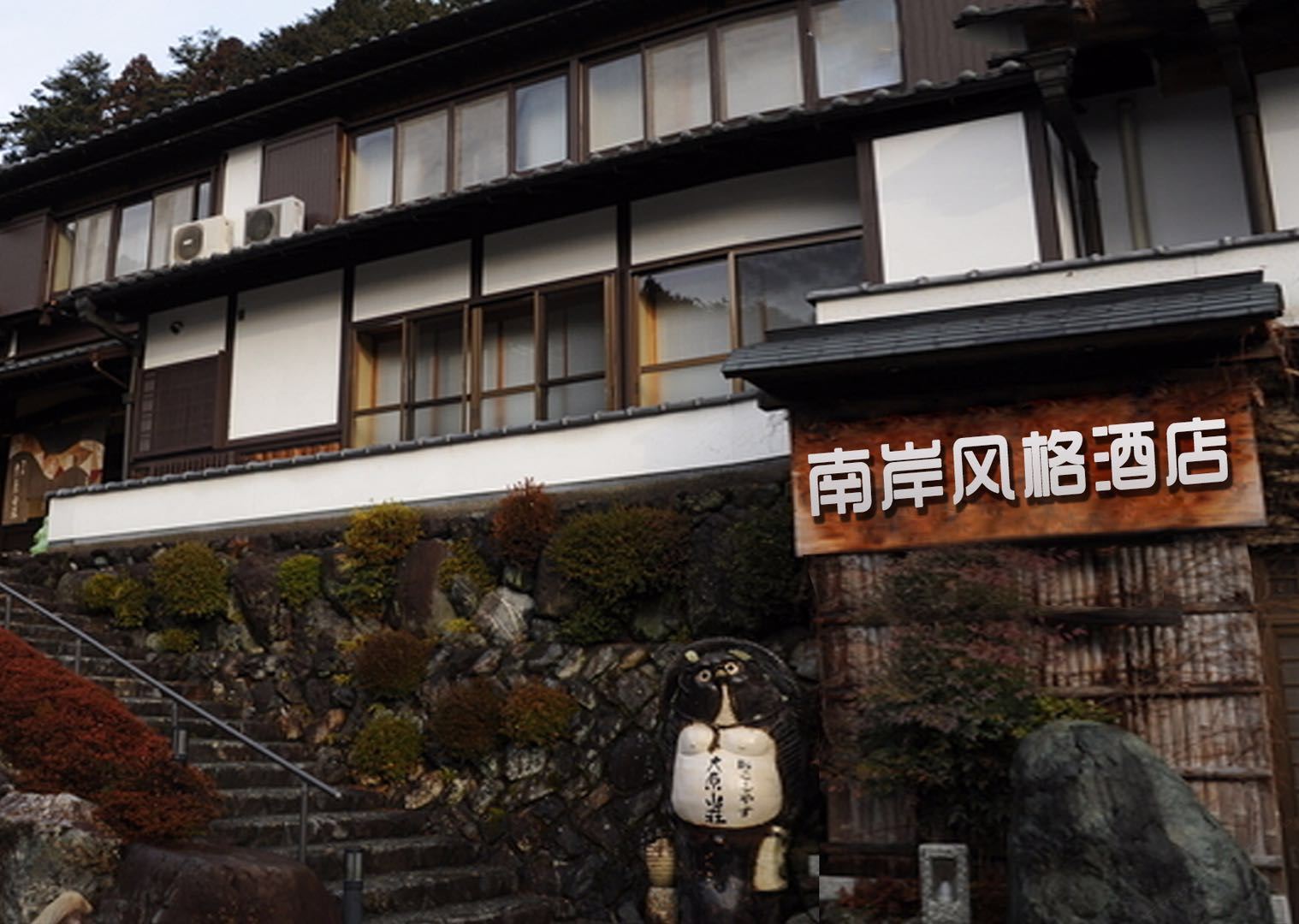外观