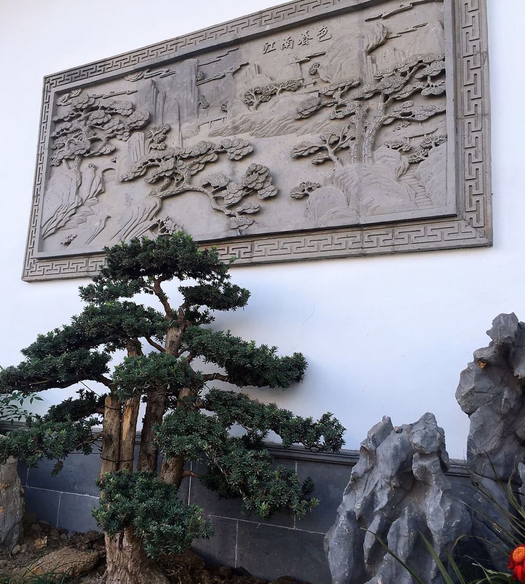公共区域