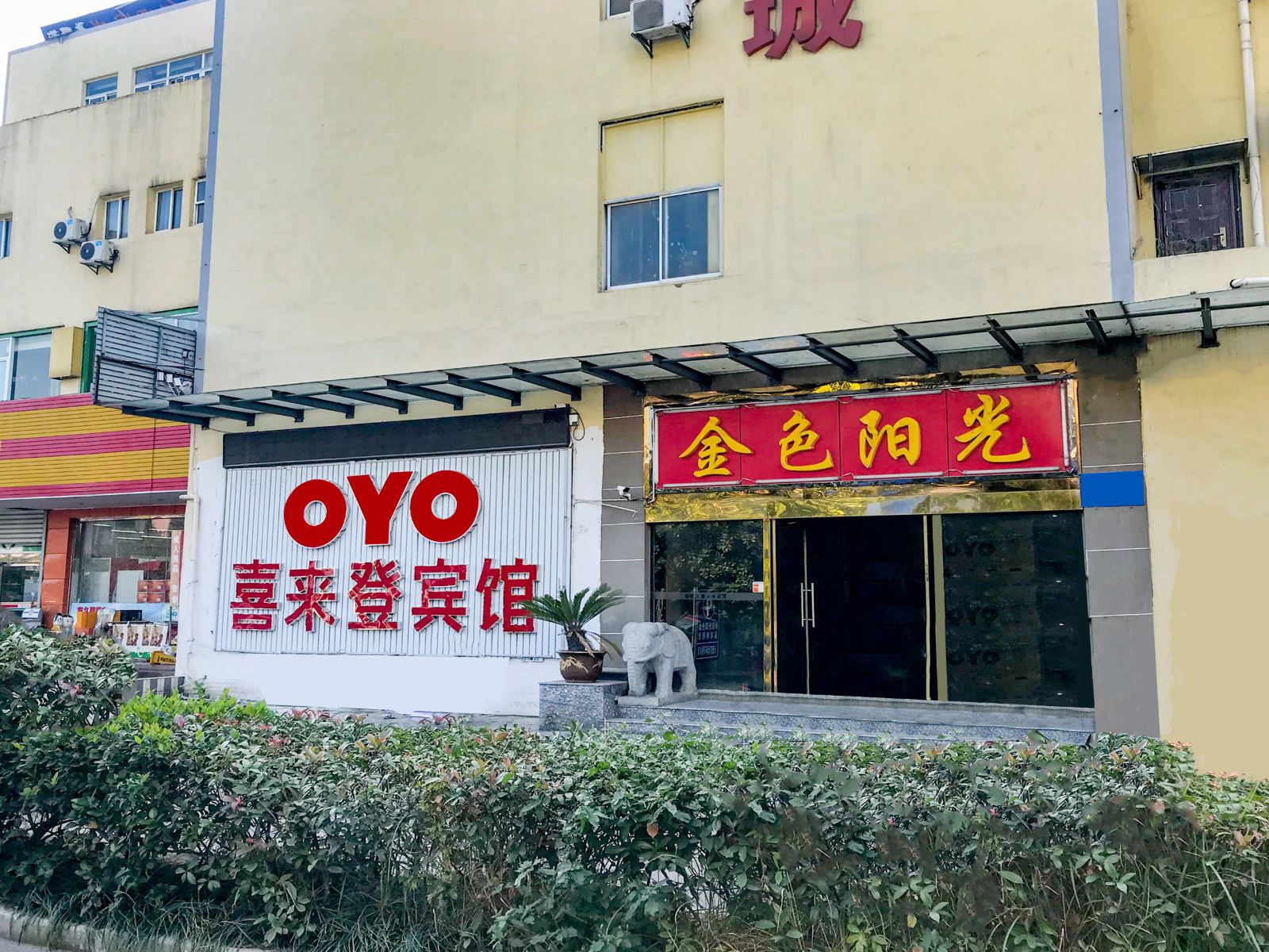 外观