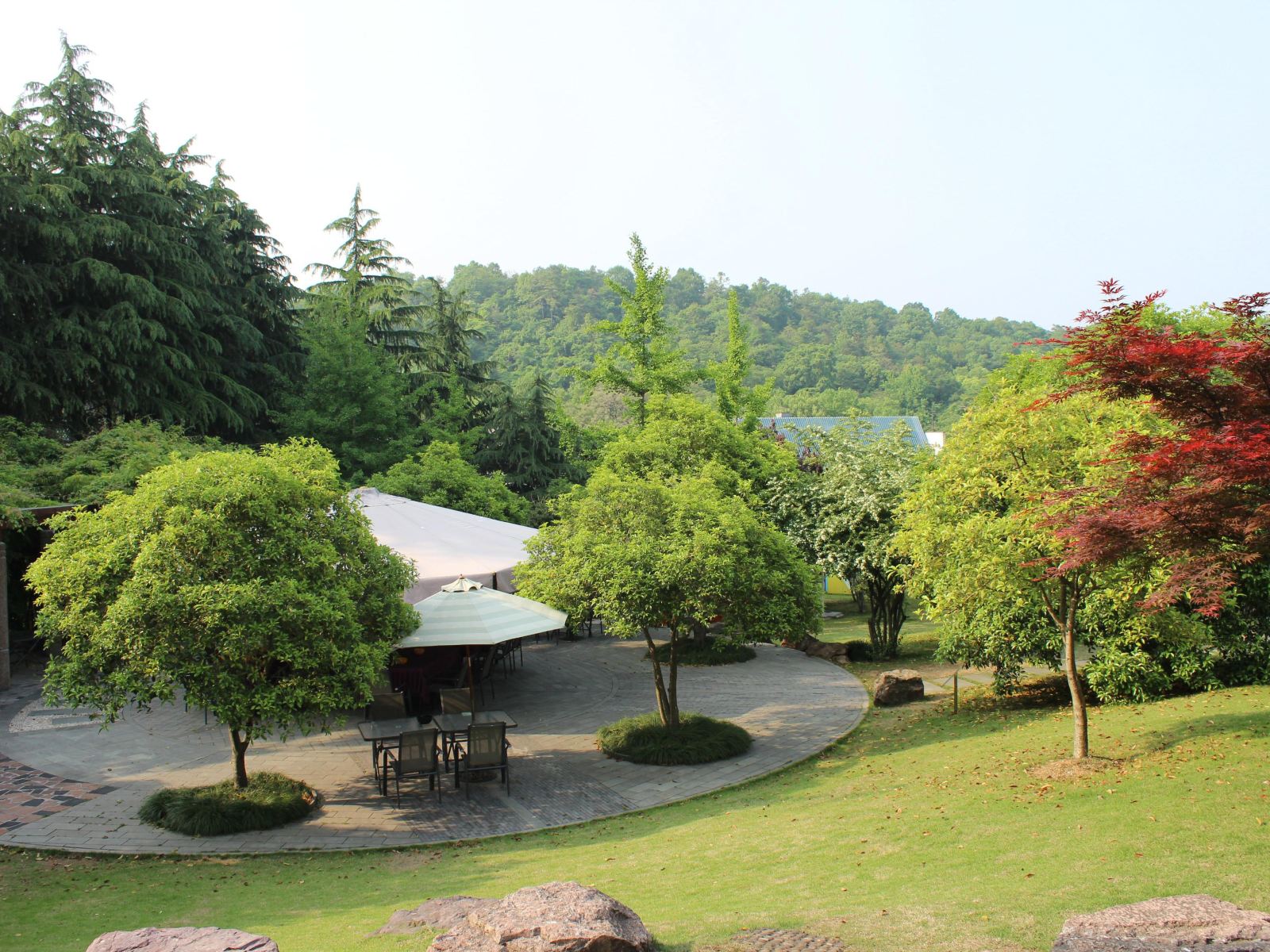公共区域