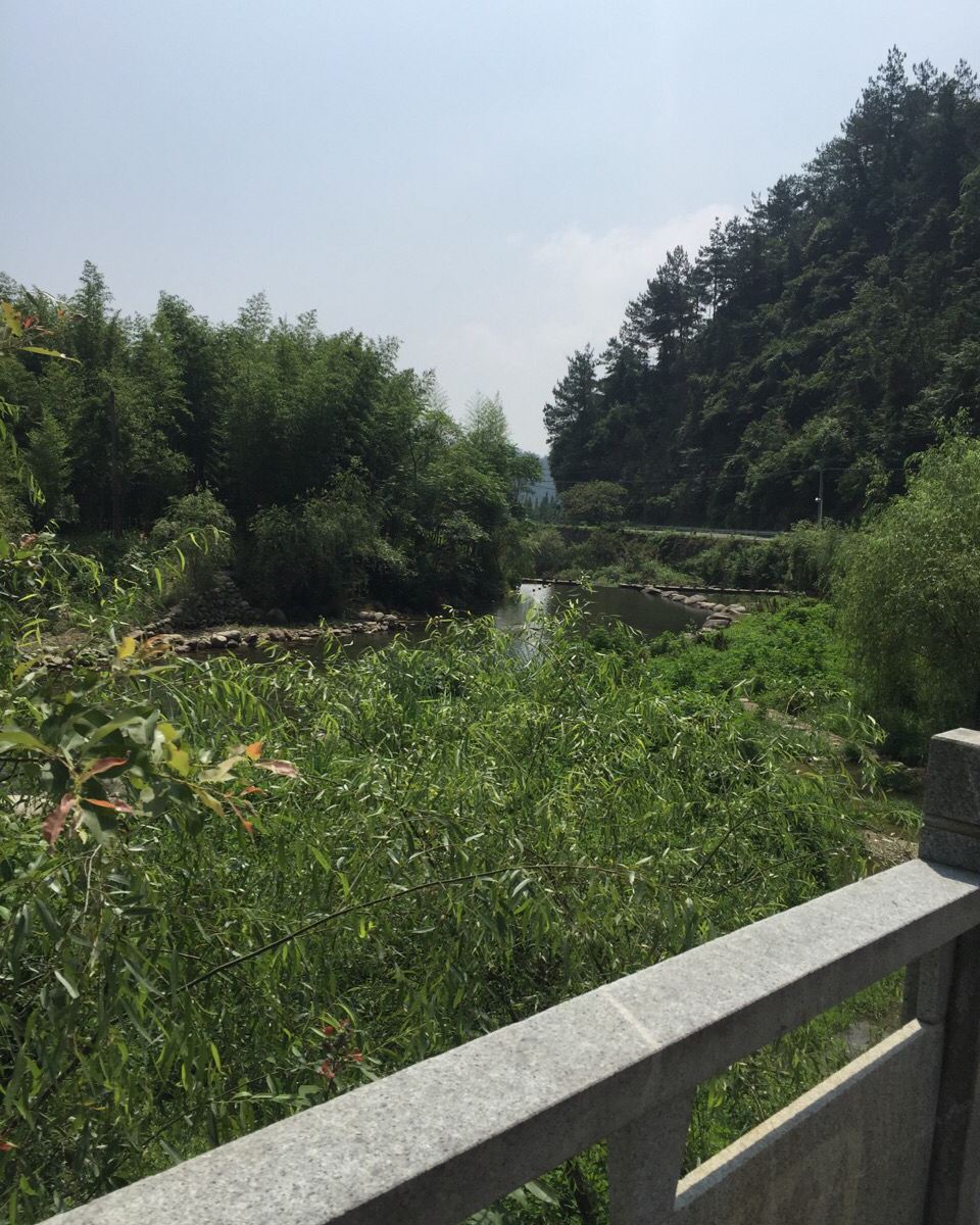杭州浙西大龙湾龙井峡花园农庄