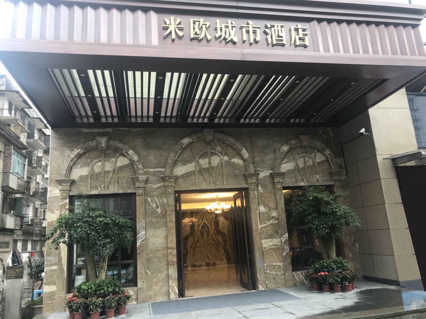 外观