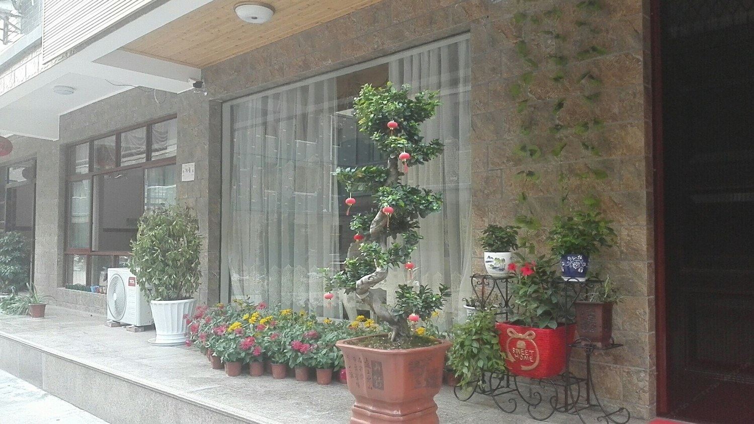 外观