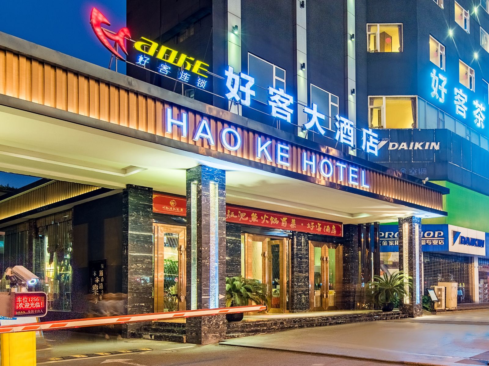 外观