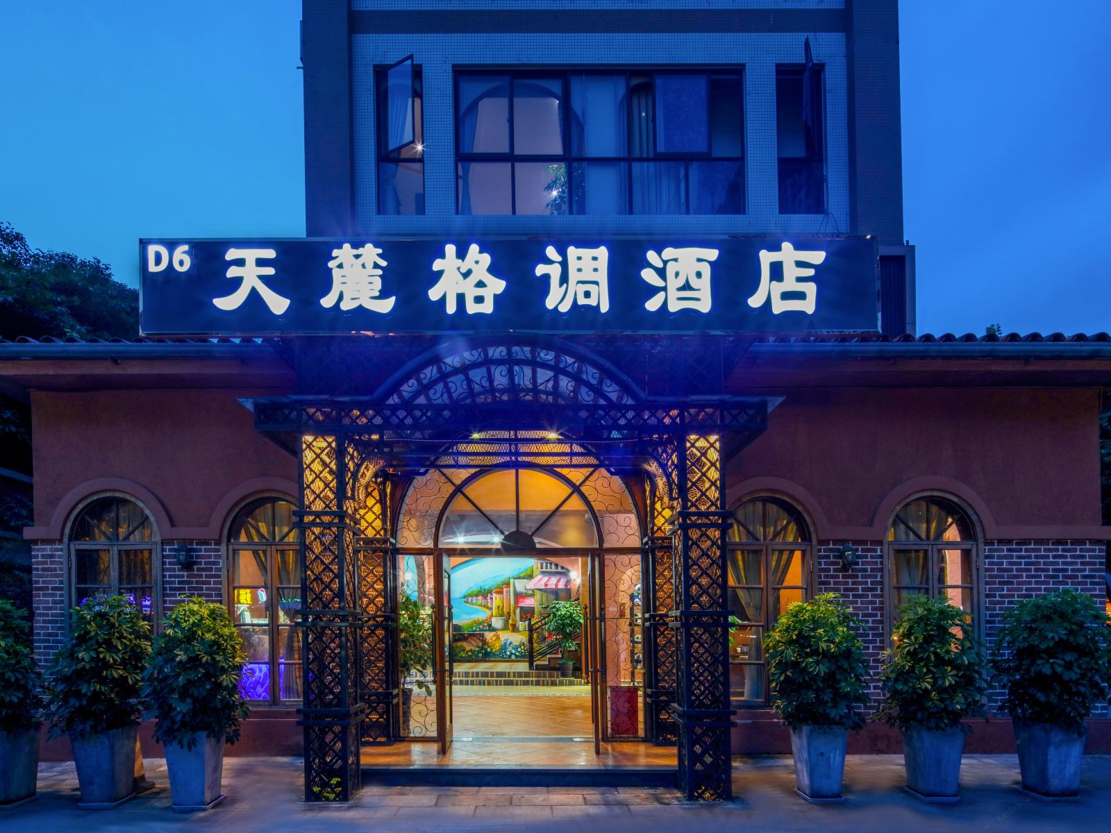 外观