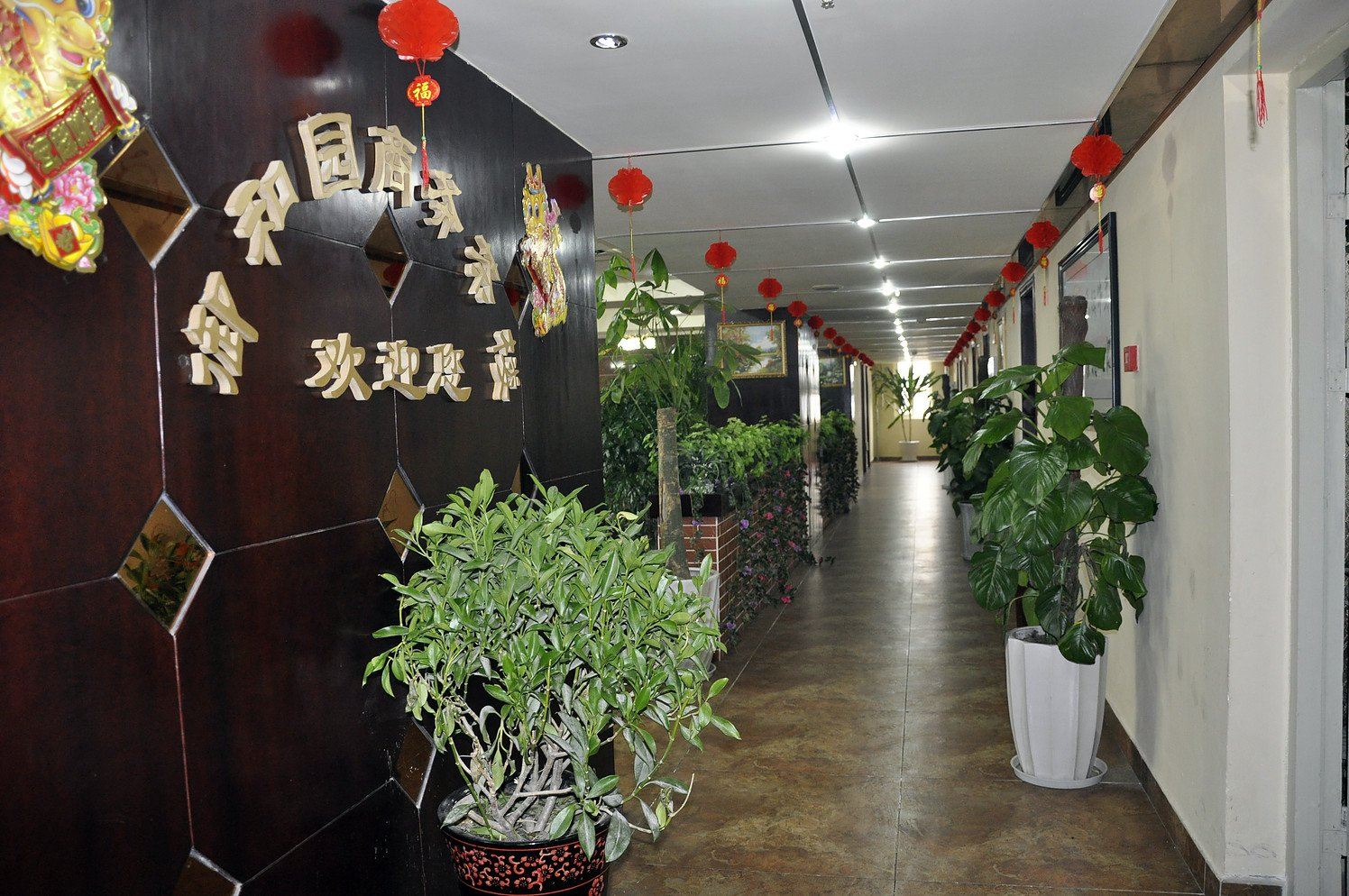 公共区域