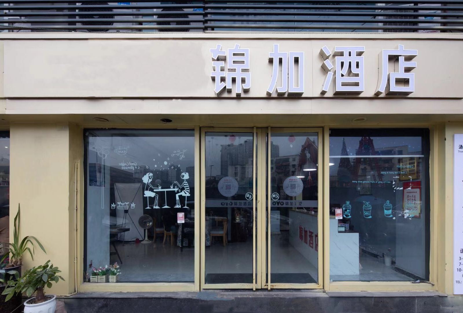 外观
