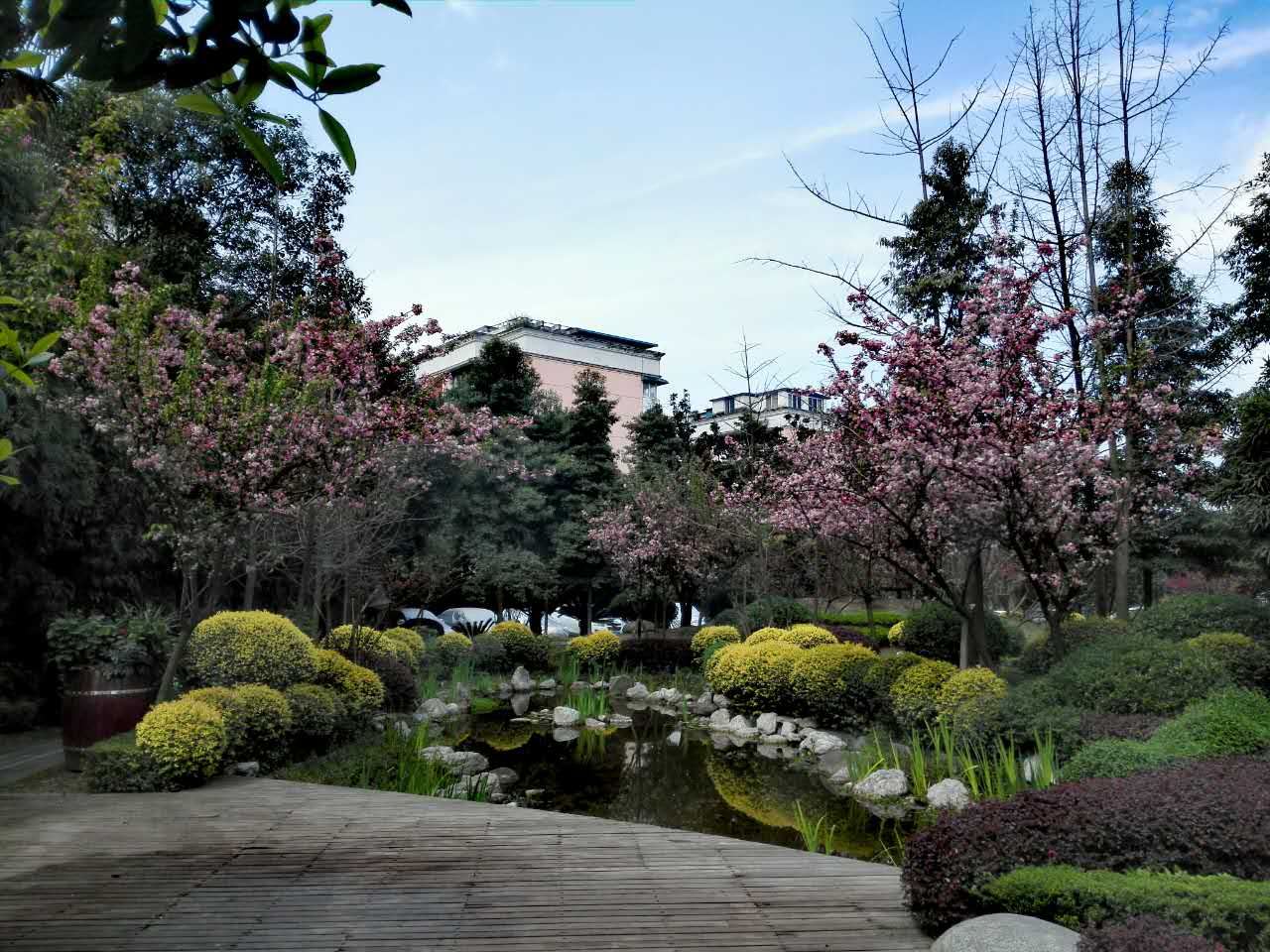 公共区域