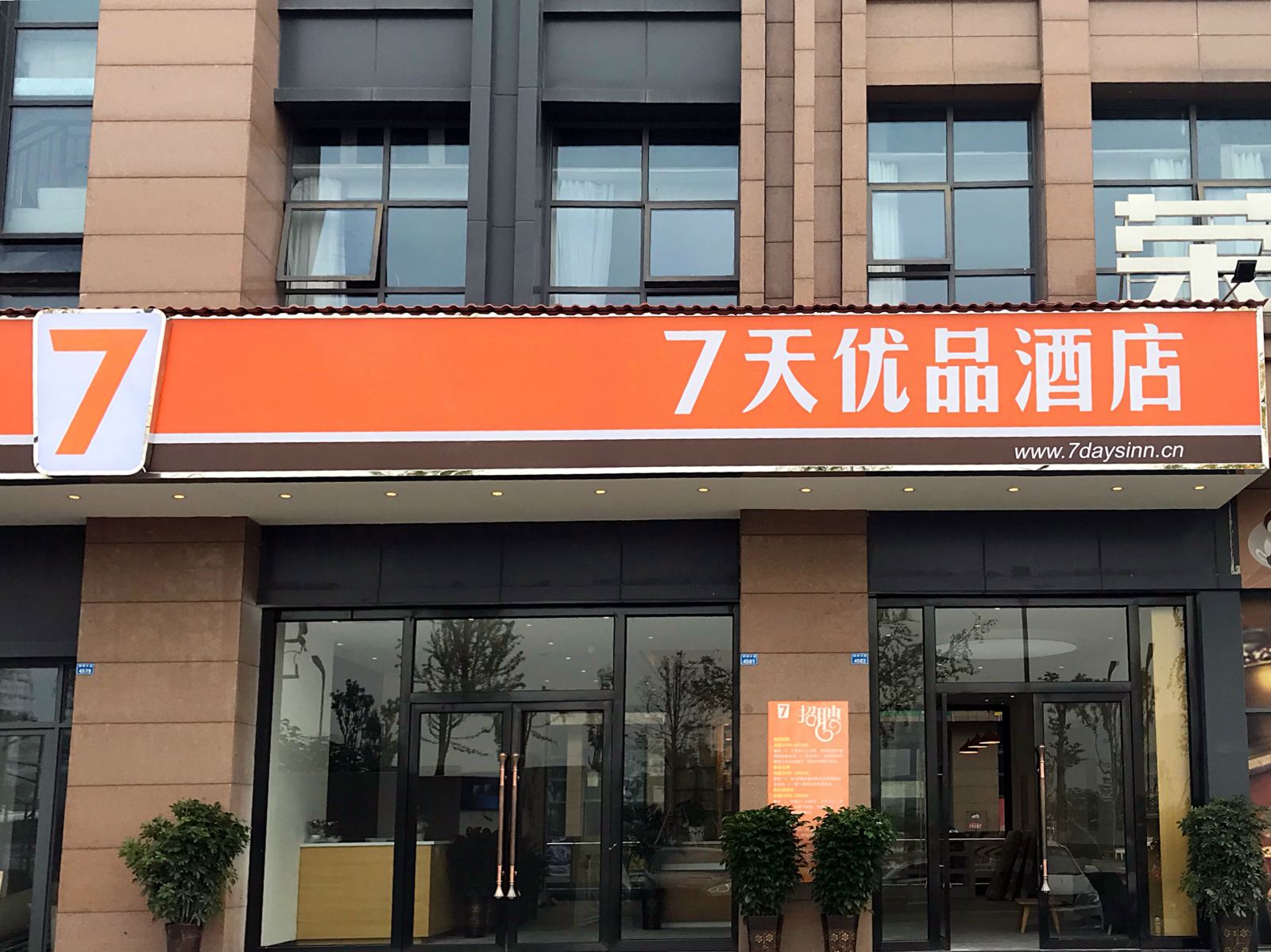 外观