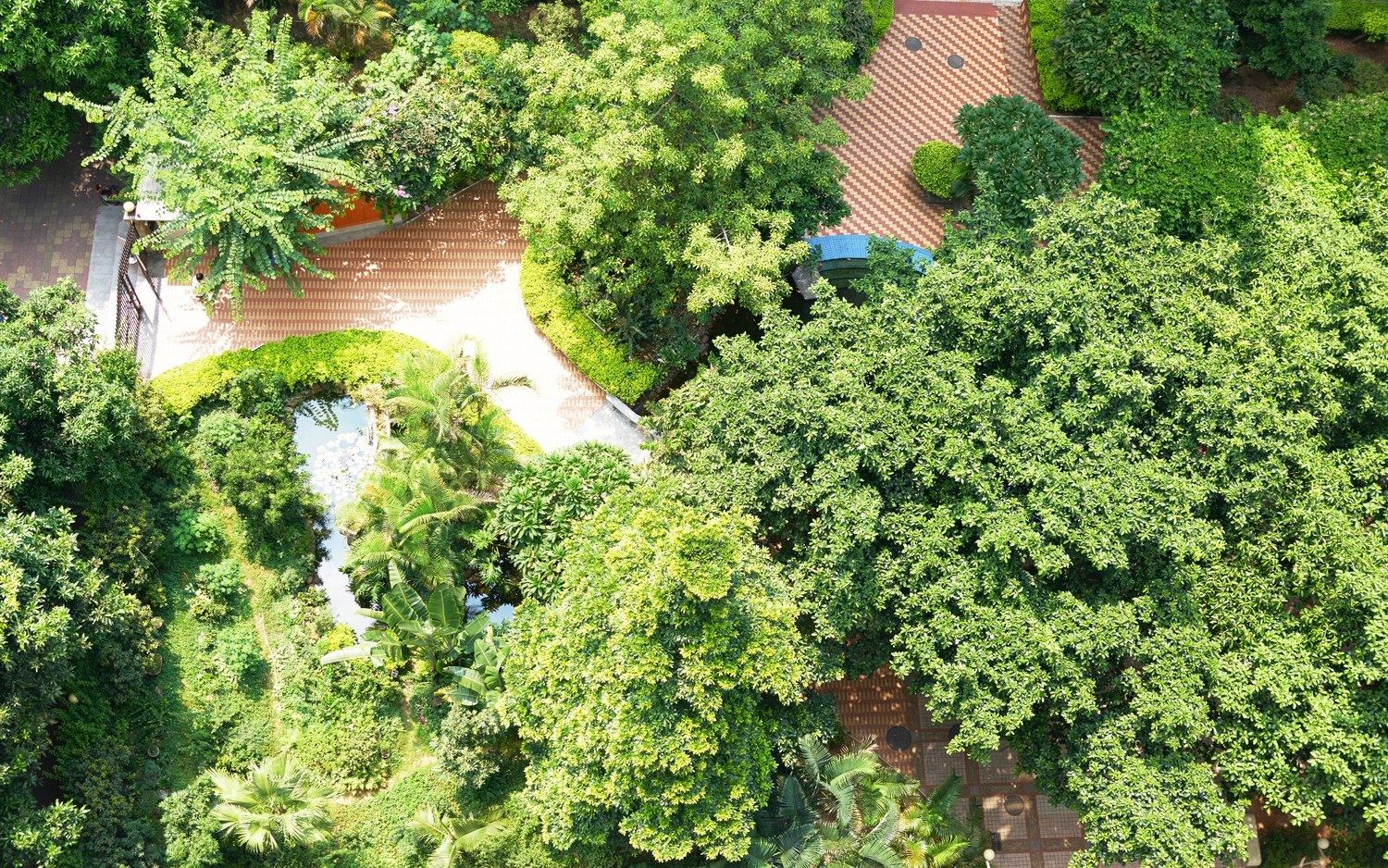 广州花城里普通公寓