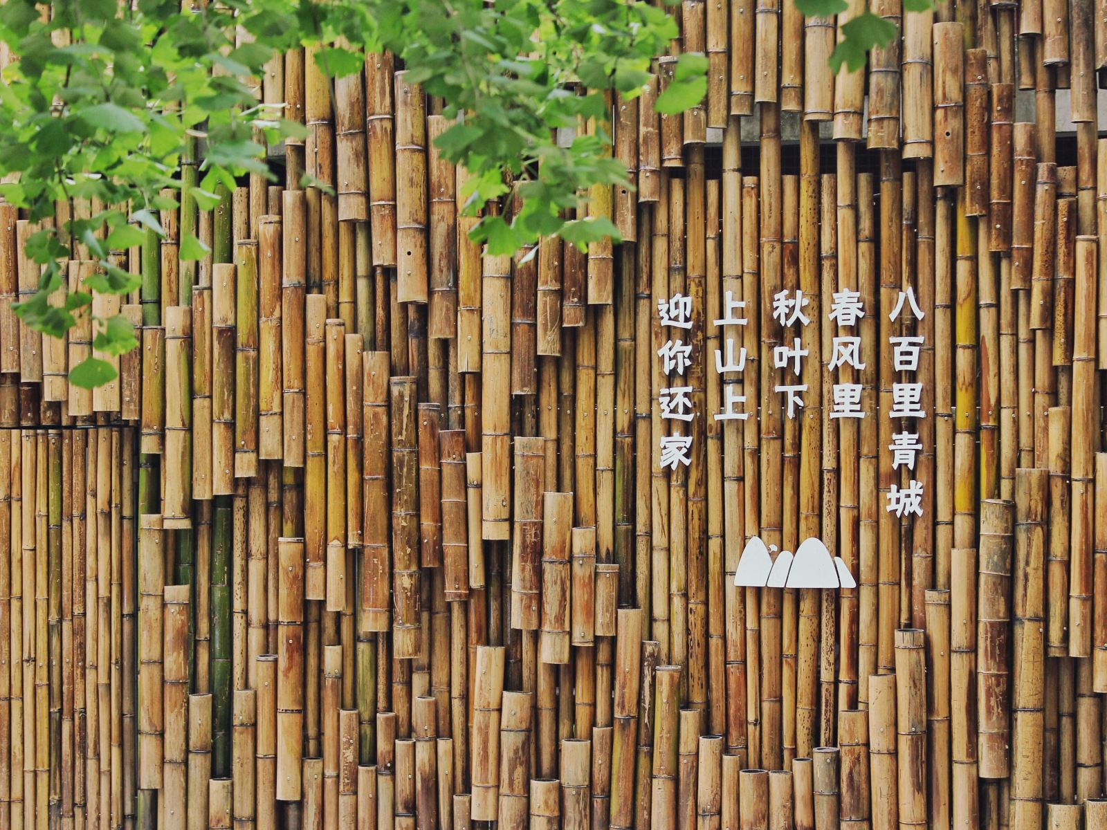 青城上山上美好生活民宿