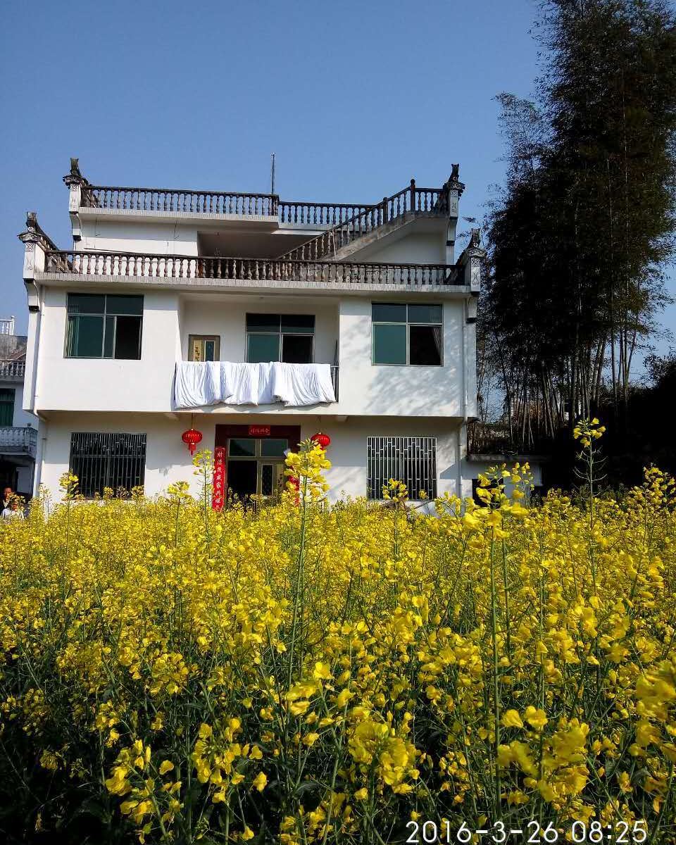 婺源江岭随心所寓