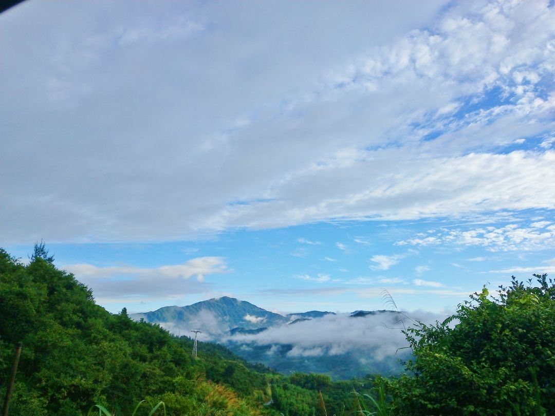 婺源花迹·山舍