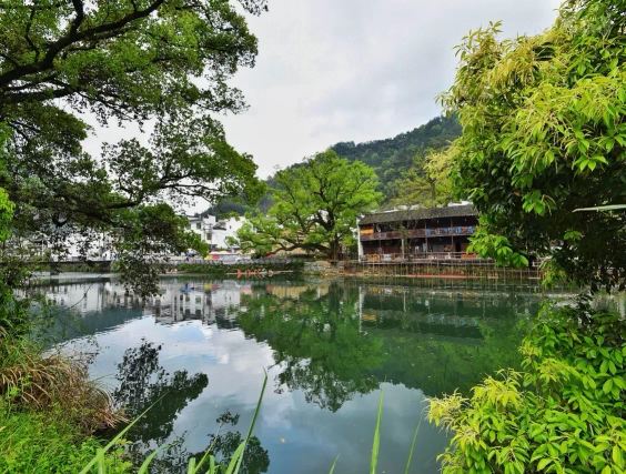 婺源雪莲情缘居民宿