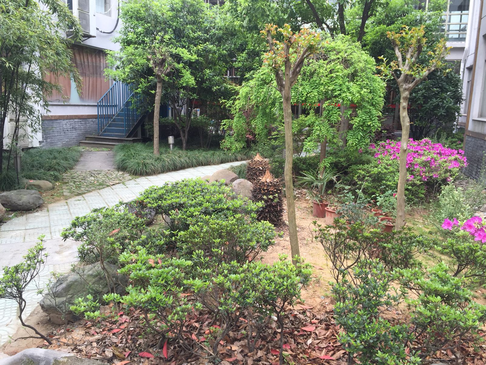 公共区域